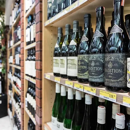 酒店 普费弗科恩酒店
